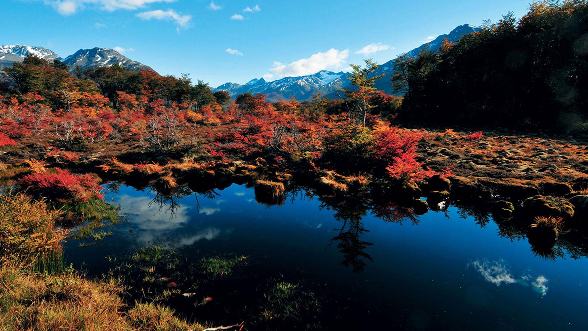 Arakur Ushuaia Resort&Spa Bagian luar foto Autumn colours at the Ozegahara